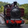 South Devon Railway_14996150229_o.jpg