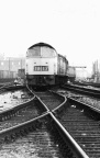 An unknown Class 52 "Western" arrives at Swindon with an express in November 1968.