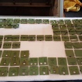 Tiles now carefully sorted & stored on polystyrene sheets for potential future use.